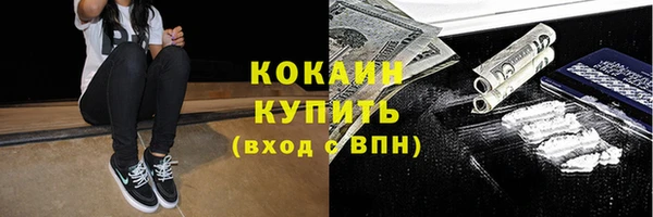 спиды Алзамай