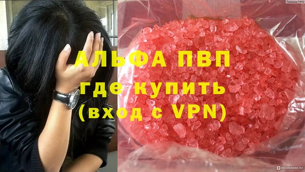 спиды Алзамай