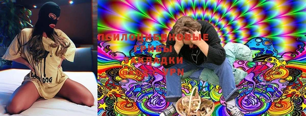 скорость Алексин