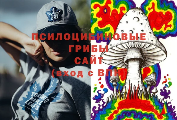 скорость Алексин