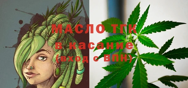 гашик Алексеевка